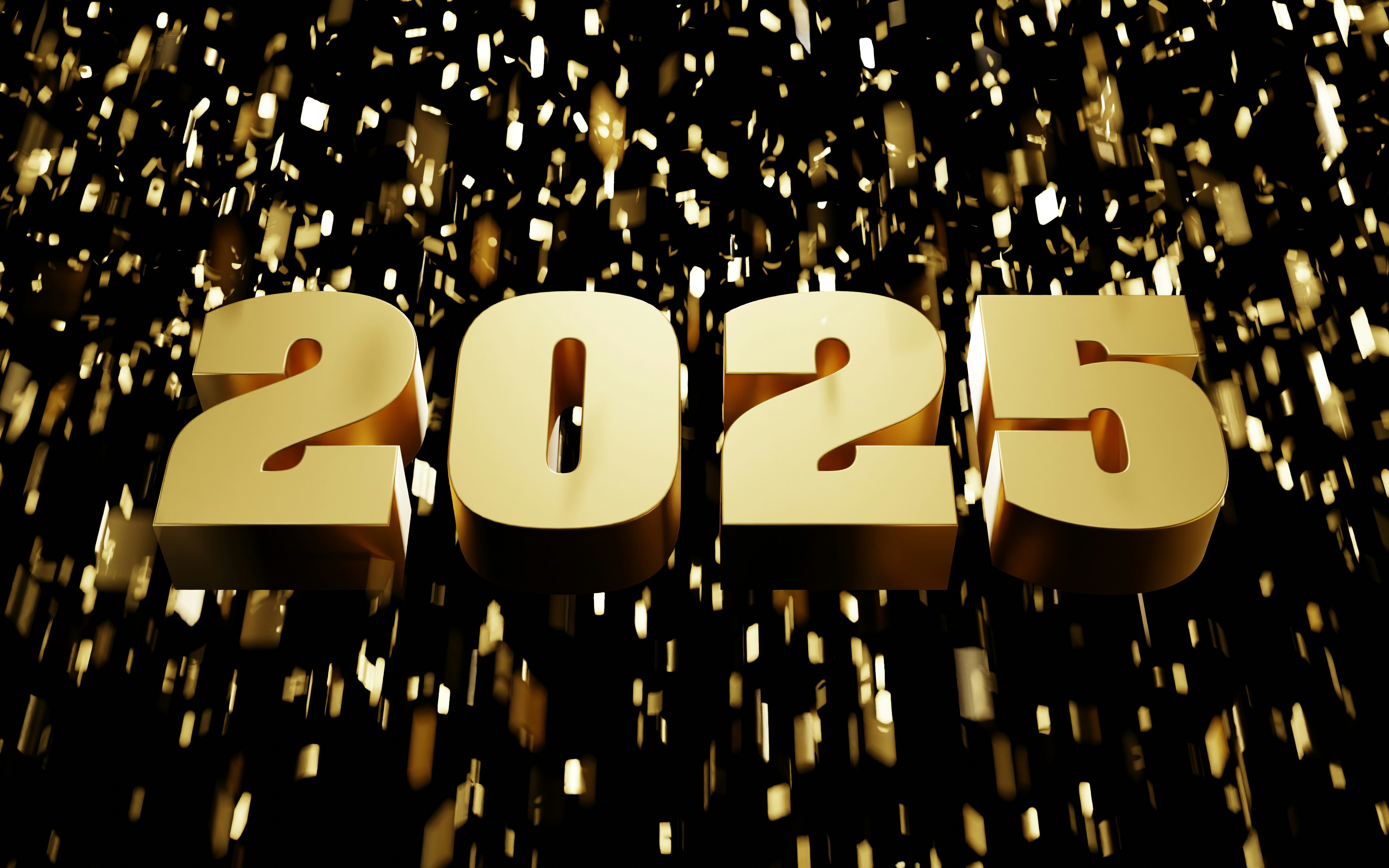 2025 New Year